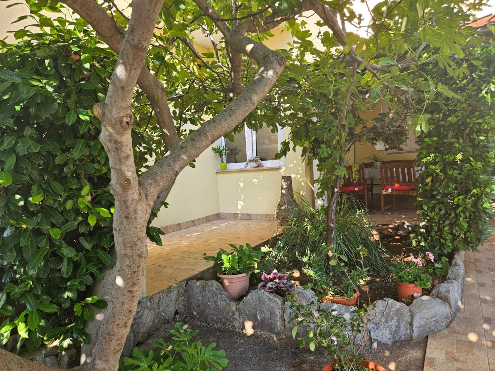 Apartmani Sanja Klenovica Exteriör bild
